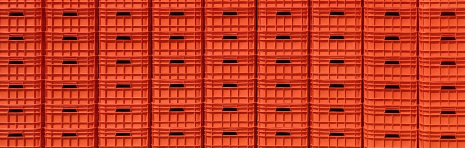 Cajas de plástico agrícola