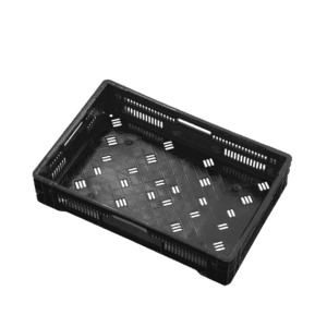 10 04 2024 06 15 36 875 VEU0068.003.png