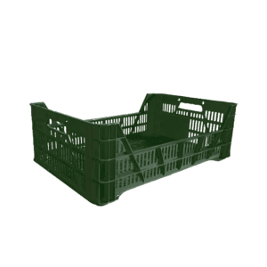 10 04 2024 06 15 39 203 VEU0070.004.png