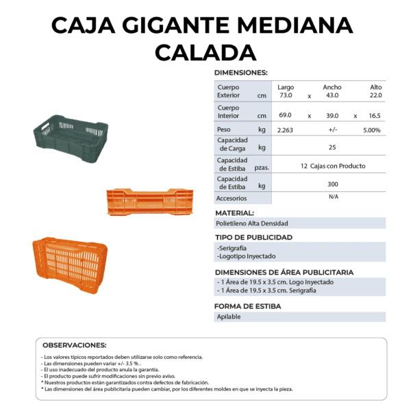 27 06 2024 04 54 16 182 VEU0077.012.png