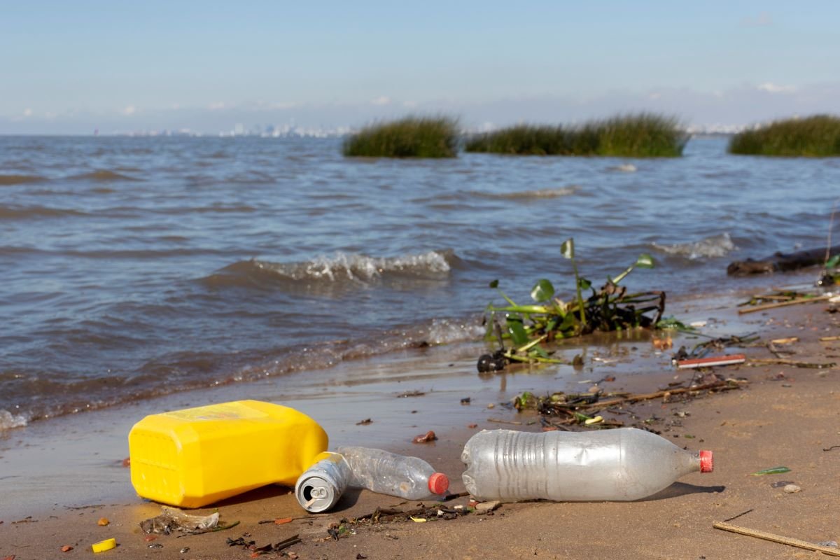 como cuidar el medio ambiente 