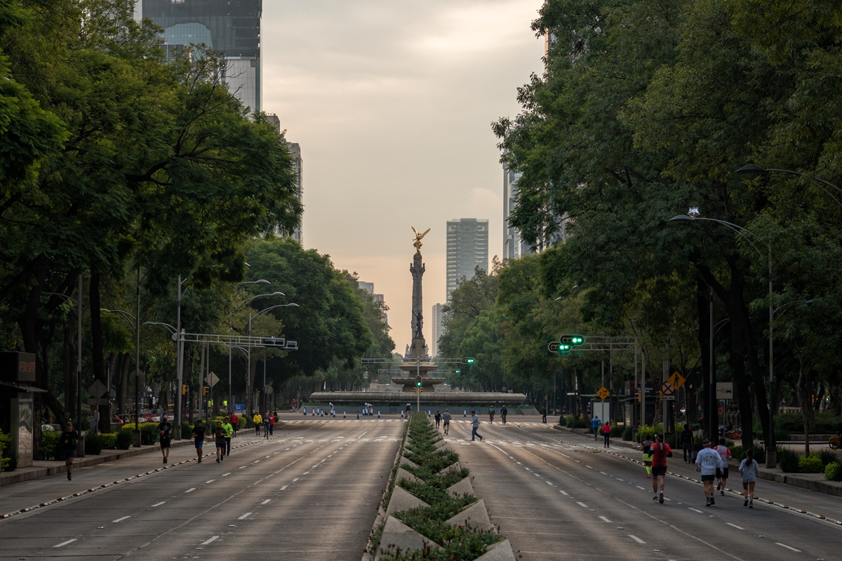 vialetas en las calles de reforma