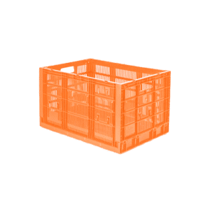 10 04 2024 06 15 29 665 VEU0061.002.png