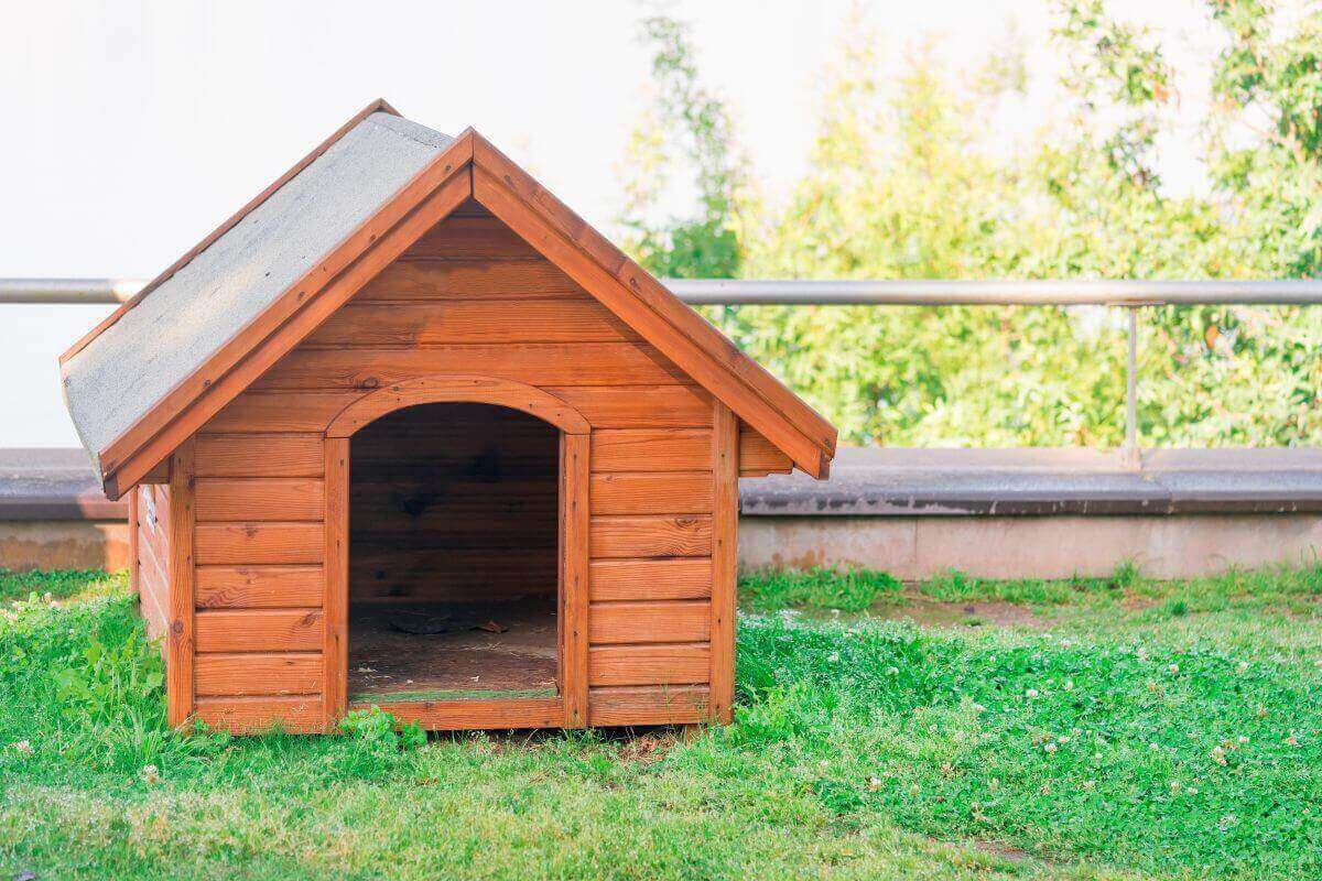 materiales para casas de perros